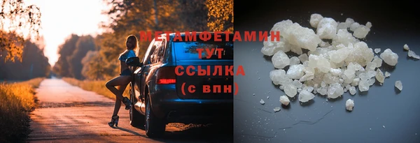 PSILOCYBIN Ветлуга