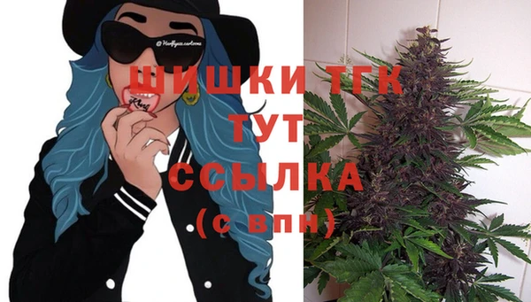 винт Среднеколымск