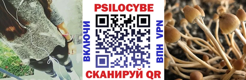 Псилоцибиновые грибы Magic Shrooms  где можно купить   Приволжск 